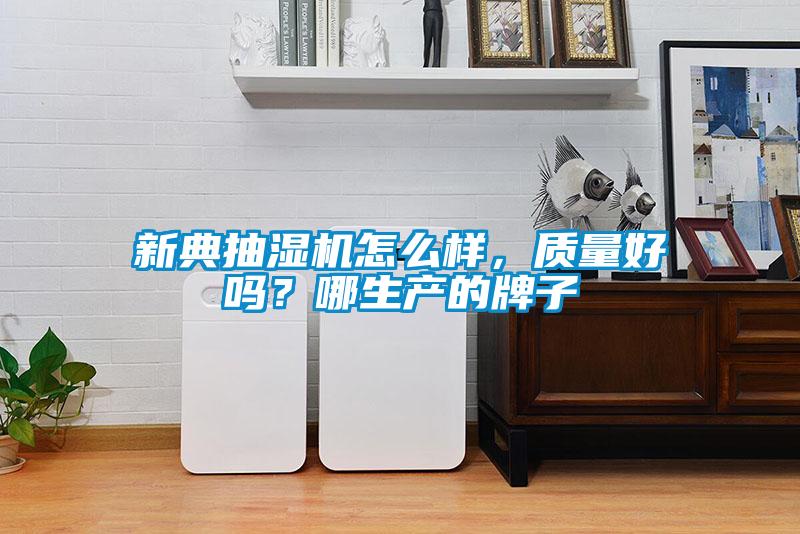 新典抽濕機(jī)怎么樣，質(zhì)量好嗎？哪生產(chǎn)的牌子