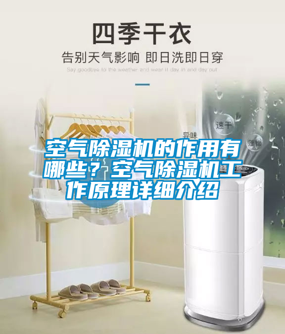 空氣除濕機的作用有哪些？空氣除濕機工作原理詳細介紹