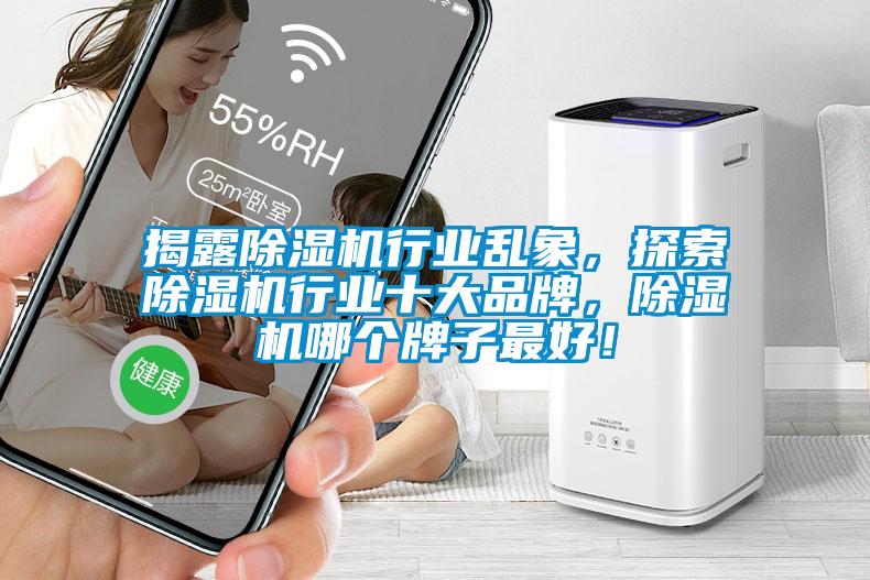 揭露除濕機(jī)行業(yè)亂象，探索除濕機(jī)行業(yè)十大品牌，除濕機(jī)哪個(gè)牌子最好！