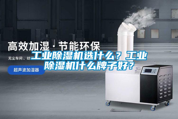 工業除濕機選什么？工業除濕機什么牌子好？