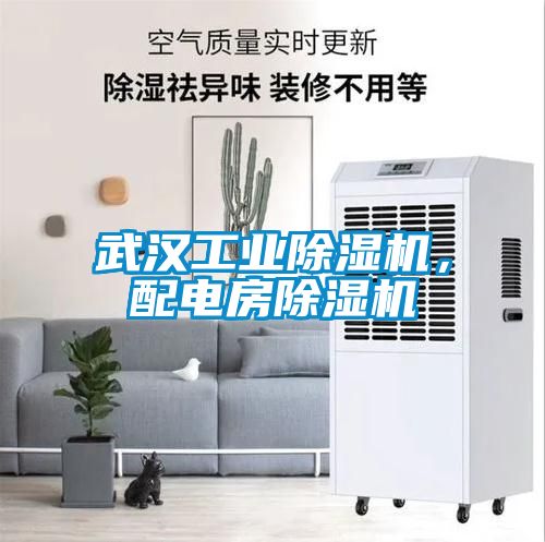 武漢工業(yè)除濕機，配電房除濕機