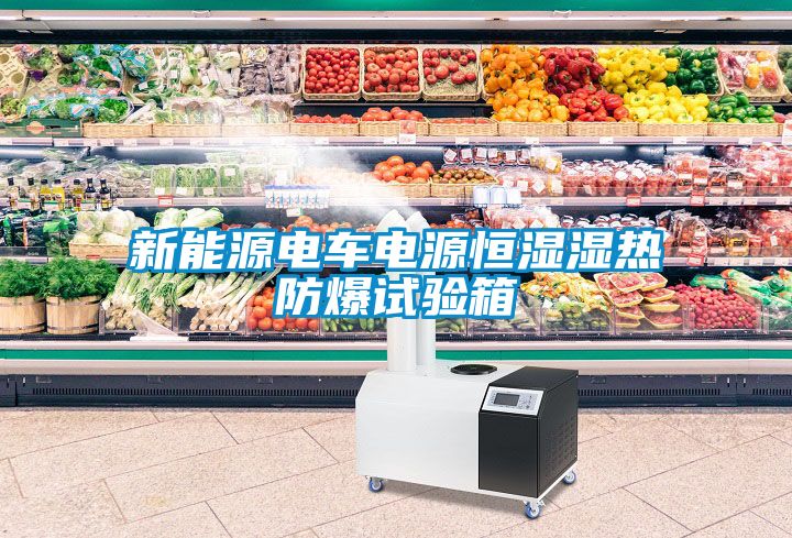 新能源電車(chē)電源恒濕濕熱防爆試驗(yàn)箱