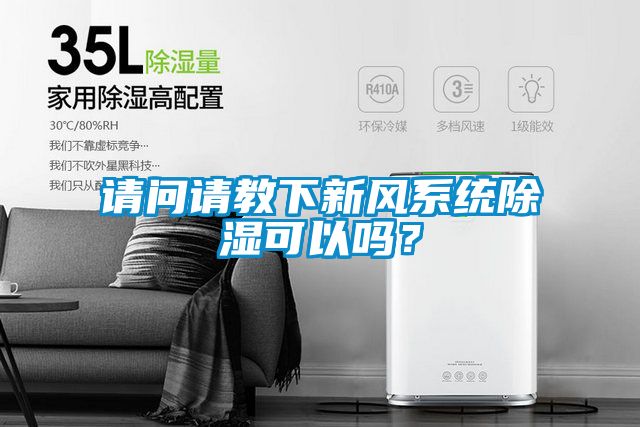 請問請教下新風(fēng)系統(tǒng)除濕可以嗎？