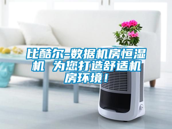 比酷爾-數(shù)據(jù)機(jī)房恒濕機(jī) 為您打造舒適機(jī)房環(huán)境！
