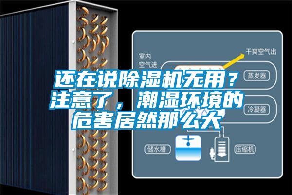 還在說除濕機(jī)無用？注意了，潮濕環(huán)境的危害居然那么大