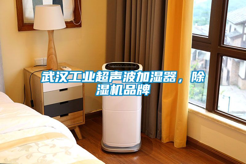 武漢工業超聲波加濕器，除濕機品牌