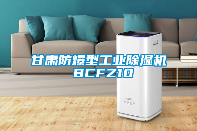 甘肅防爆型工業(yè)除濕機(jī) BCFZ10