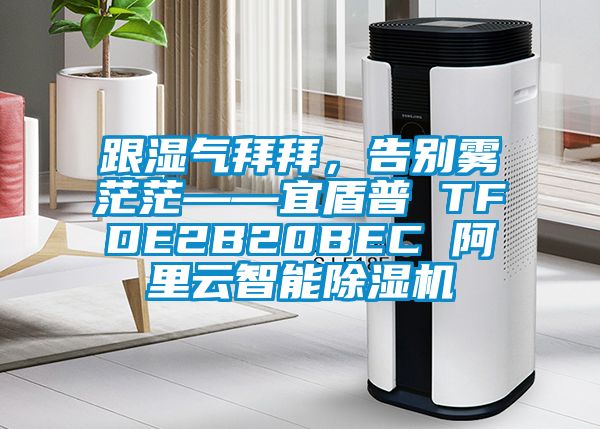 跟濕氣拜拜，告別霧茫茫——宜盾普 TFDE2B20BEC 阿里云智能除濕機(jī)