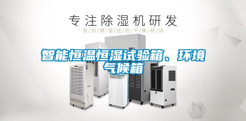 智能恒溫恒濕試驗箱、環境氣候箱