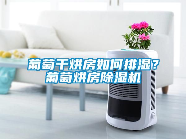 葡萄干烘房如何排濕？葡萄烘房除濕機