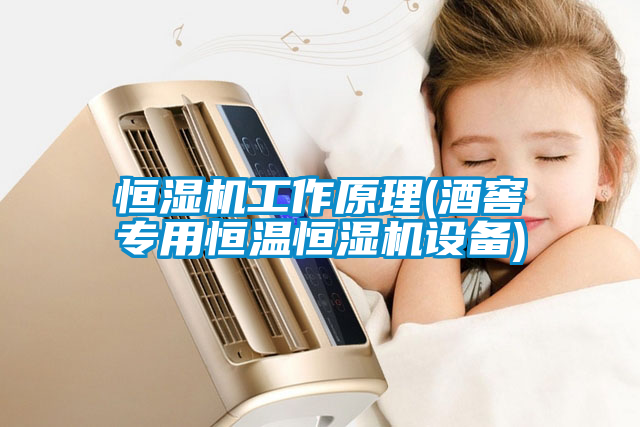 恒濕機(jī)工作原理(酒窖專(zhuān)用恒溫恒濕機(jī)設(shè)備)