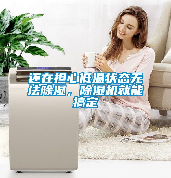 還在擔心低溫狀態無法除濕，除濕機就能搞定