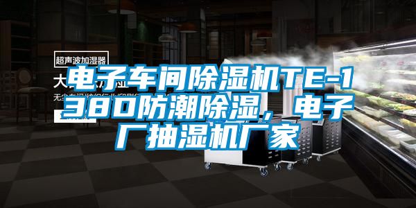 電子車間除濕機(jī)TE-138D防潮除濕，電子廠抽濕機(jī)廠家