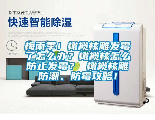 梅雨季！橄欖核雕發(fā)霉了怎么辦？橄欖核怎么防止發(fā)霉？ 橄欖核雕防潮、防霉攻略！