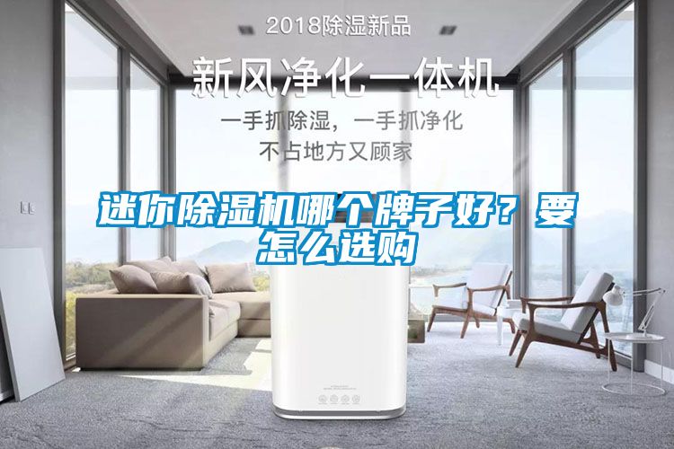 迷你除濕機(jī)哪個牌子好？要怎么選購