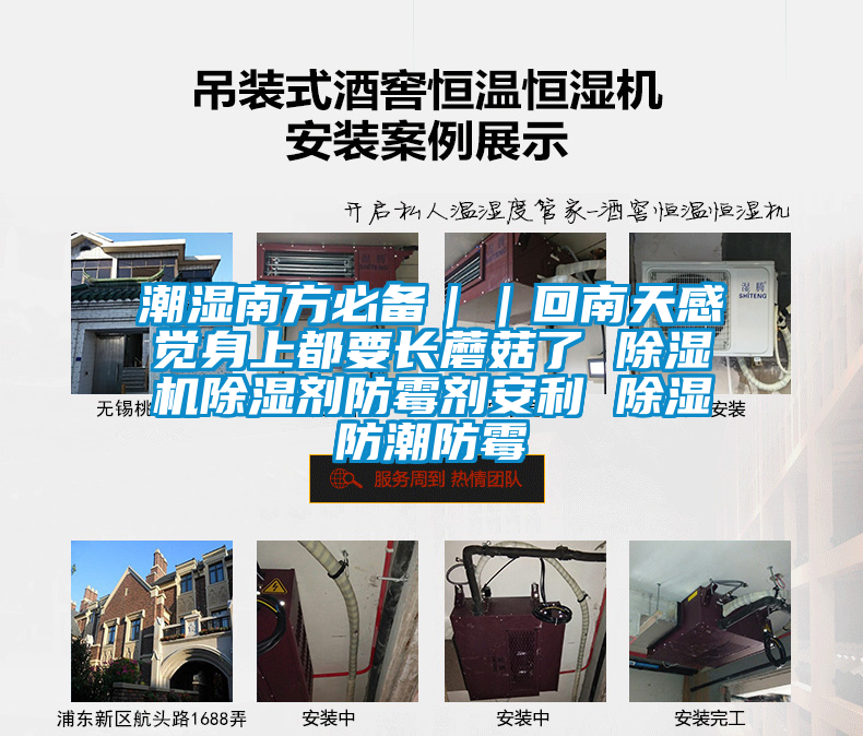 潮濕南方必備||回南天感覺身上都要長蘑菇了 除濕機除濕劑防霉劑安利 除濕防潮防霉