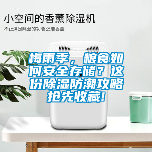 梅雨季，糧食如何安全存儲(chǔ)？這份除濕防潮攻略搶先收藏!