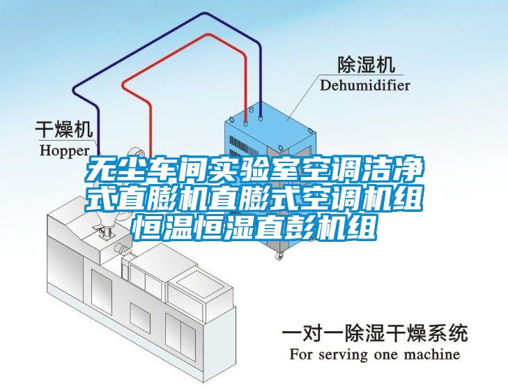 無(wú)塵車(chē)間實(shí)驗(yàn)室空調(diào)潔凈式直膨機(jī)直膨式空調(diào)機(jī)組恒溫恒濕直彭機(jī)組