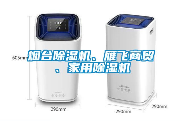 煙臺除濕機、雁飛商貿、家用除濕機