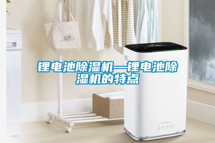 鋰電池除濕機(jī)—鋰電池除濕機(jī)的特點