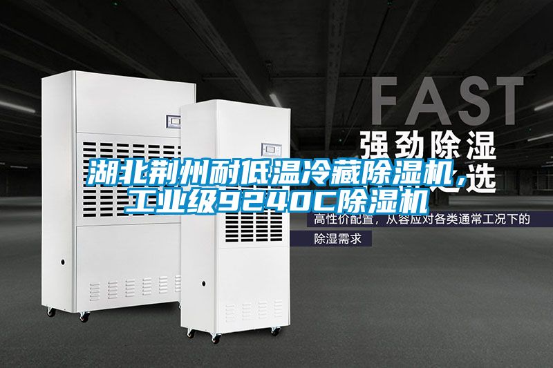 湖北荊州耐低溫冷藏除濕機，工業級9240C除濕機