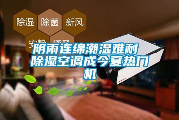 陰雨連綿潮濕難耐 除濕空調(diào)成今夏熱門機