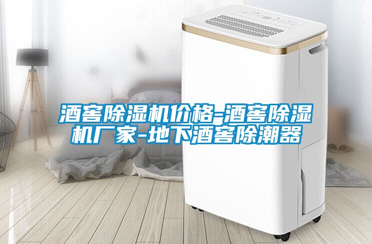 酒窖除濕機(jī)價(jià)格-酒窖除濕機(jī)廠家-地下酒窖除潮器