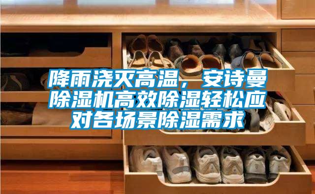 降雨澆滅高溫，安詩曼除濕機高效除濕輕松應(yīng)對各場景除濕需求
