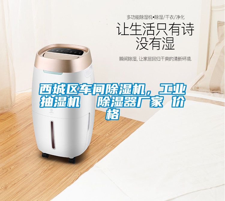 西城區(qū)車間除濕機(jī)，工業(yè)抽濕機(jī)  除濕器廠家 價格