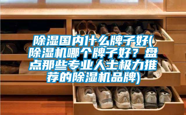 除濕國內(nèi)什么牌子好(除濕機哪個牌子好？盤點那些專業(yè)人士極力推薦的除濕機品牌)