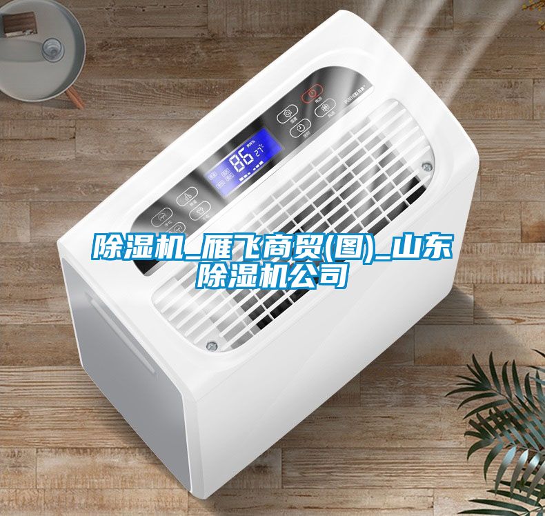 除濕機_雁飛商貿(mào)(圖)_山東除濕機公司