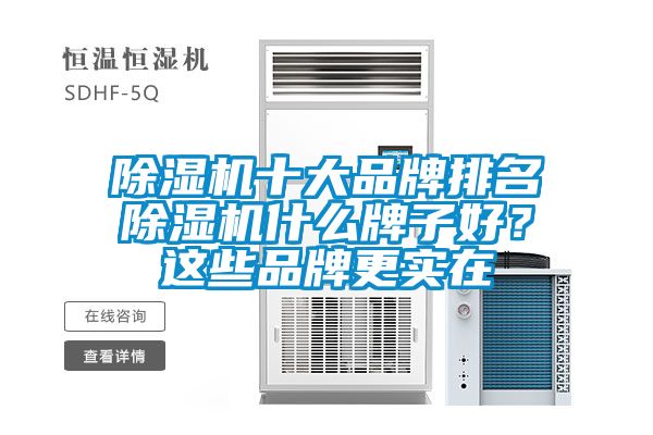 除濕機(jī)十大品牌排名除濕機(jī)什么牌子好？這些品牌更實(shí)在