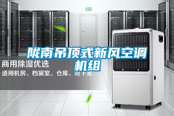 隴南吊頂式新風空調(diào)機組