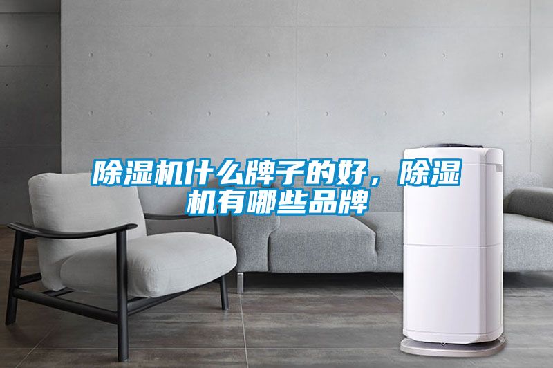 除濕機(jī)什么牌子的好，除濕機(jī)有哪些品牌