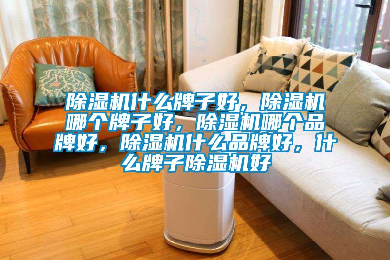 除濕機(jī)什么牌子好，除濕機(jī)哪個(gè)牌子好，除濕機(jī)哪個(gè)品牌好，除濕機(jī)什么品牌好，什么牌子除濕機(jī)好