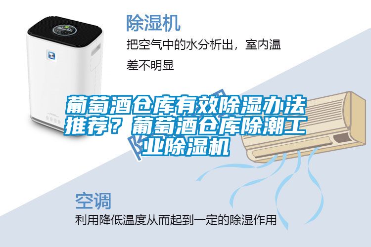 葡萄酒倉(cāng)庫(kù)有效除濕辦法推薦？葡萄酒倉(cāng)庫(kù)除潮工業(yè)除濕機(jī)