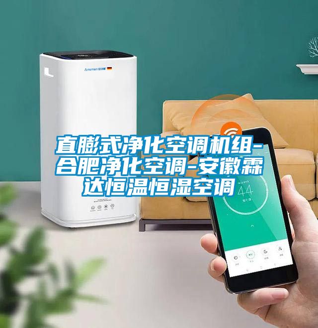 直膨式凈化空調(diào)機組-合肥凈化空調(diào)-安徽霖達恒溫恒濕空調(diào)