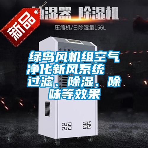 綠島風(fēng)機(jī)組空氣凈化新風(fēng)系統(tǒng)  過濾、除濕、除味等效果
