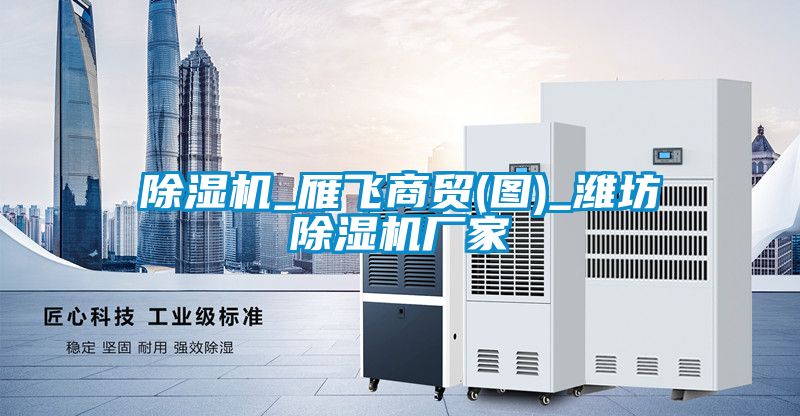 除濕機_雁飛商貿(mào)(圖)_濰坊除濕機廠家