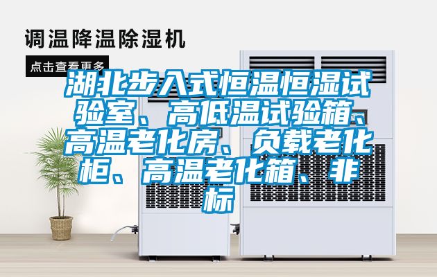 湖北步入式恒溫恒濕試驗(yàn)室、高低溫試驗(yàn)箱、高溫老化房、負(fù)載老化柜、高溫老化箱、非標(biāo)