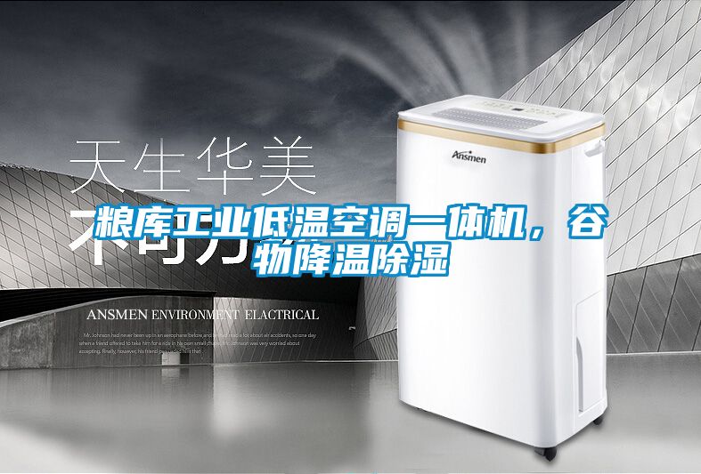 糧庫工業(yè)低溫空調(diào)一體機，谷物降溫除濕