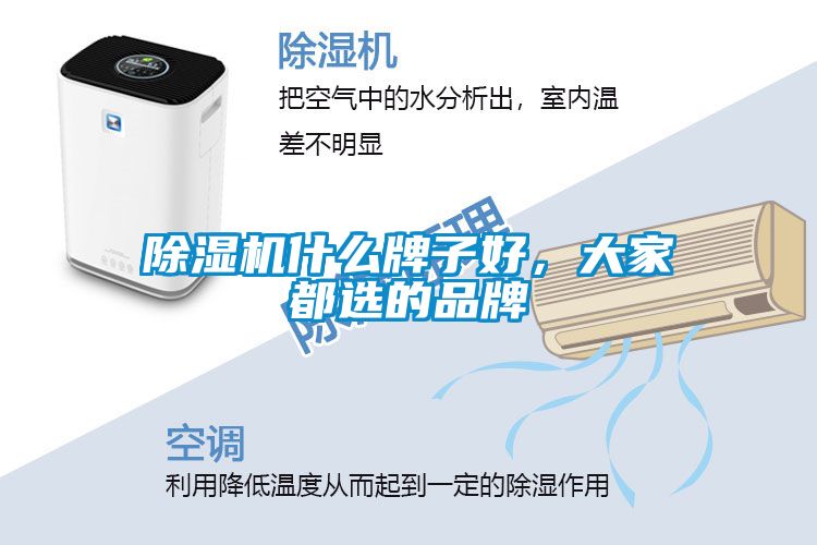除濕機(jī)什么牌子好，大家都選的品牌