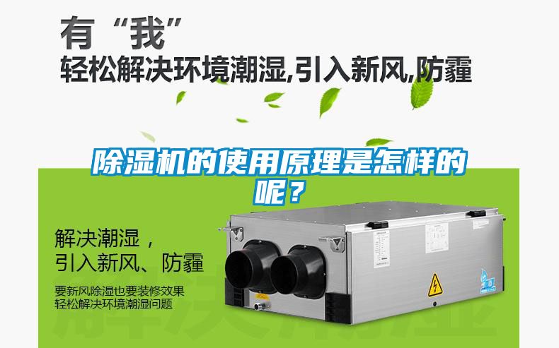 除濕機的使用原理是怎樣的呢？