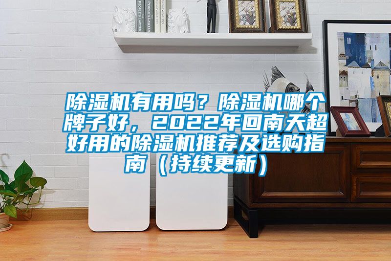 除濕機(jī)有用嗎？除濕機(jī)哪個(gè)牌子好，2022年回南天超好用的除濕機(jī)推薦及選購(gòu)指南（持續(xù)更新）
