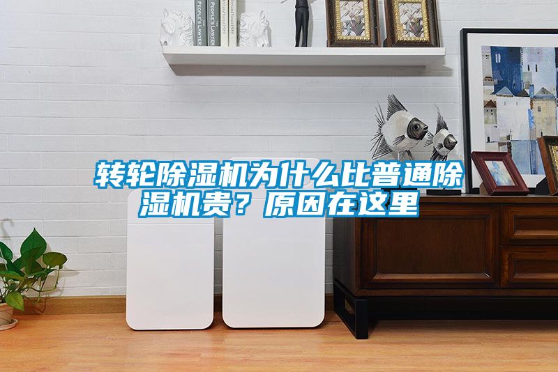 轉(zhuǎn)輪除濕機(jī)為什么比普通除濕機(jī)貴？原因在這里