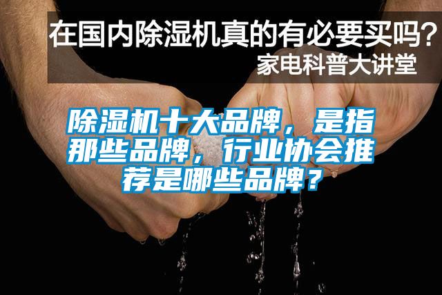 除濕機十大品牌，是指那些品牌，行業(yè)協會推薦是哪些品牌？