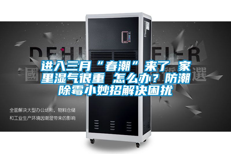 進入三月“春潮”來了 家里濕氣很重 怎么辦？防潮除霉小妙招解決困擾