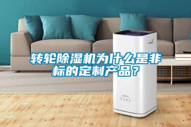 轉(zhuǎn)輪除濕機為什么是非標(biāo)的定制產(chǎn)品？
