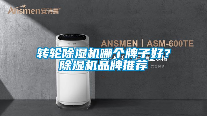 轉輪除濕機哪個牌子好？除濕機品牌推薦