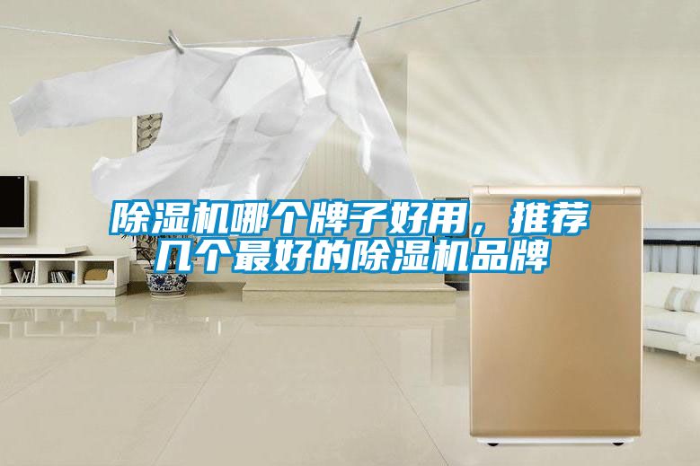 除濕機(jī)哪個(gè)牌子好用，推薦幾個(gè)最好的除濕機(jī)品牌
